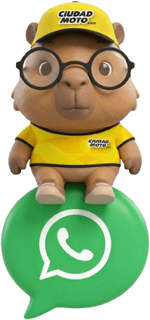 WhatsApp Ciudad Moto