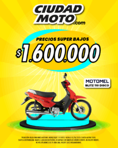 13- Blitz 110 Disco Motomel