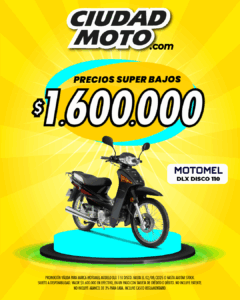 15- DLX Disco 110 Motomel