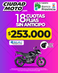 26- ROUSER LS 125