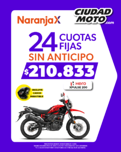 32- XPULSE 200