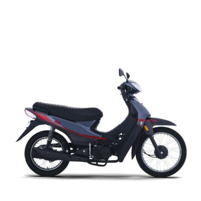 ZANELLA ZB 110 LT
