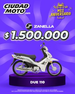 17- ZANELLA DUE 110